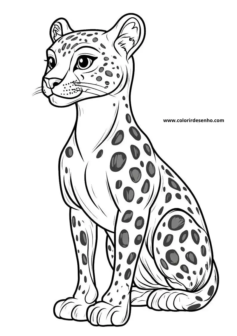 jaguar cub standing upright on back legs
