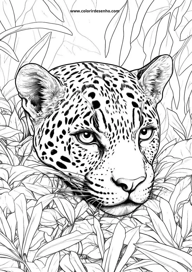 jaguar lying in leaves with intense gaze