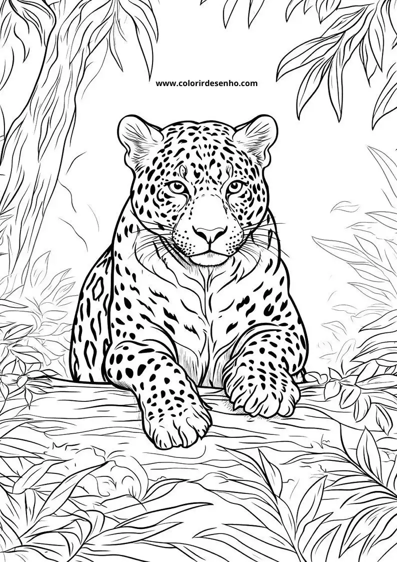 jaguar lying on branch with jungle leaves in the background