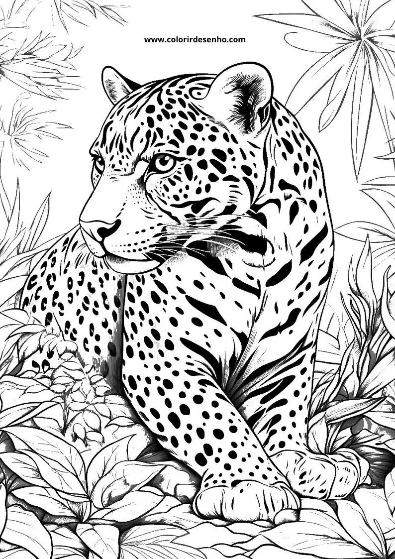 jaguar lying on leaves in jungle looking alert