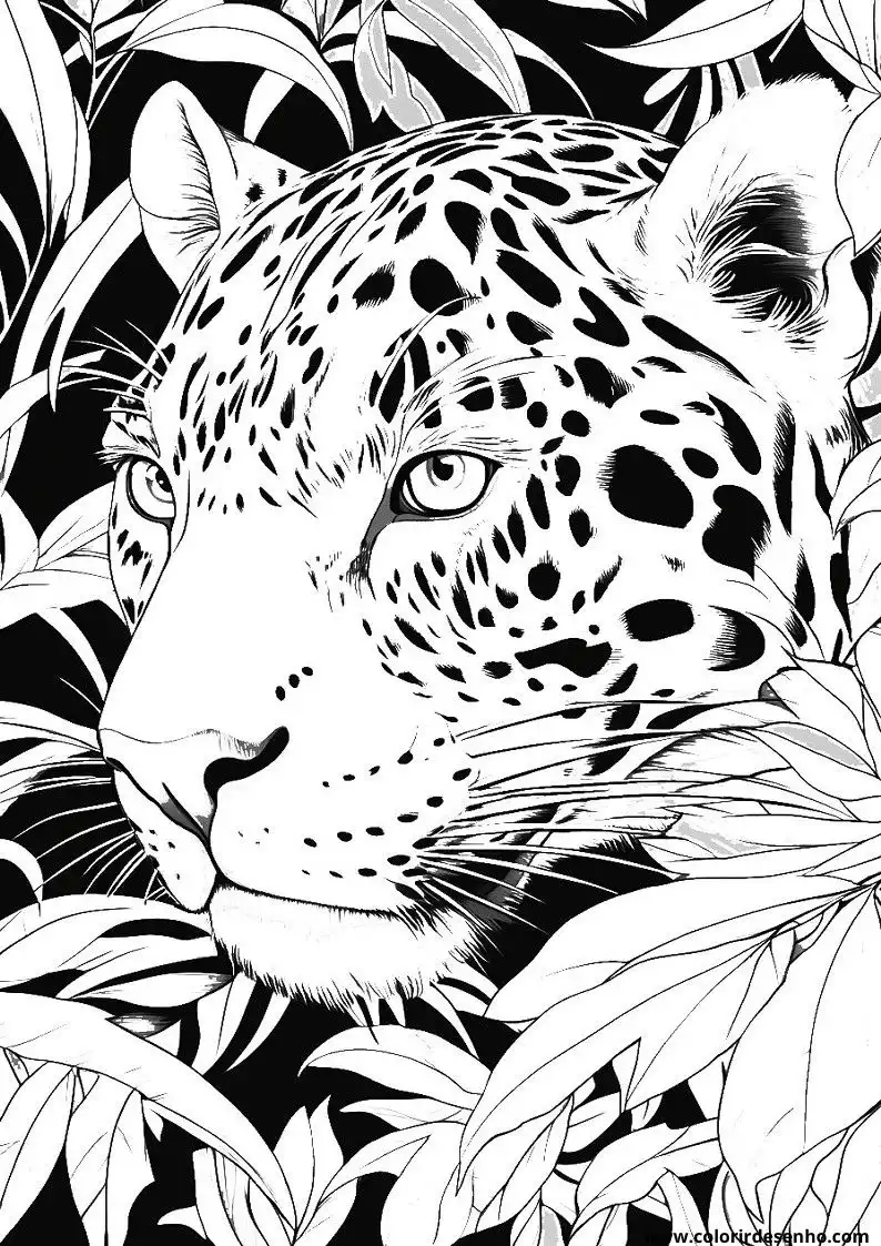jaguar resting among jungle leaves in black and white