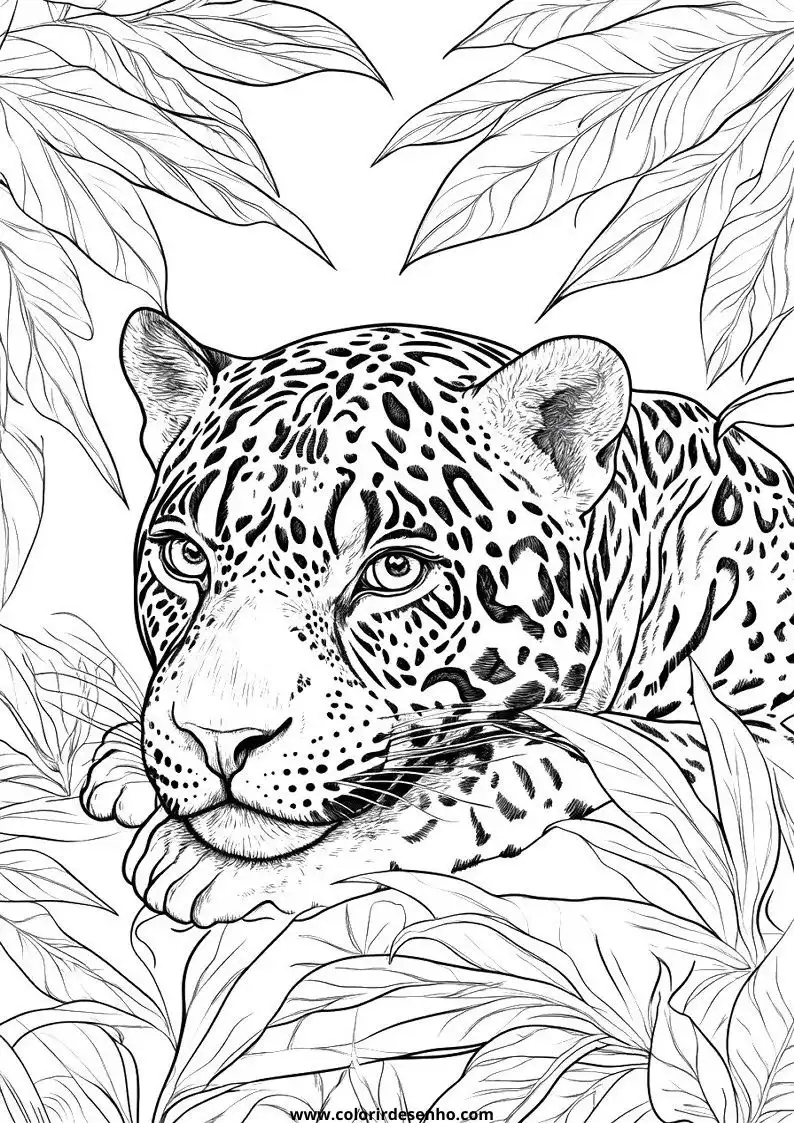 jaguar resting among leaves with eyes half open