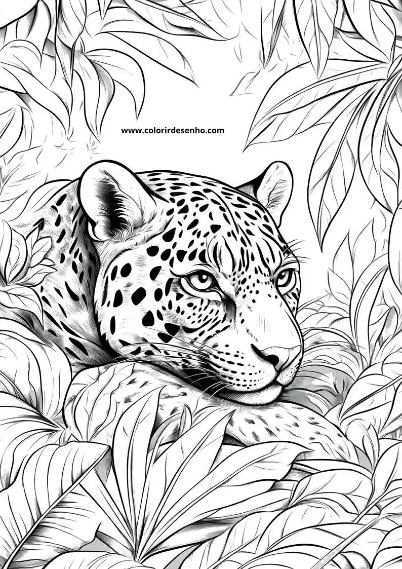 jaguar resting among leaves