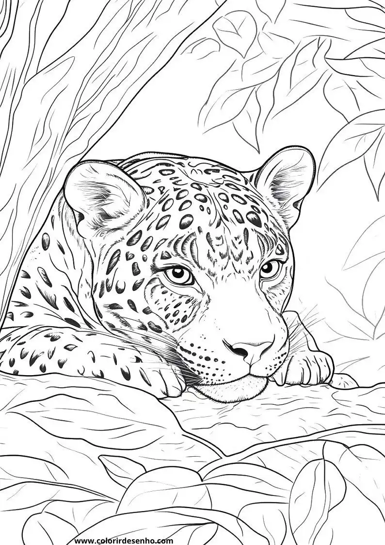 jaguar resting between leaves