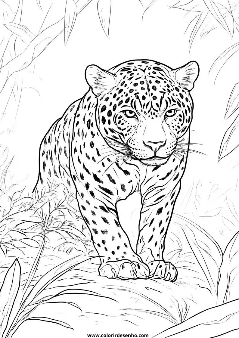 jaguar resting on rock surrounded by leaves in jungle setting
