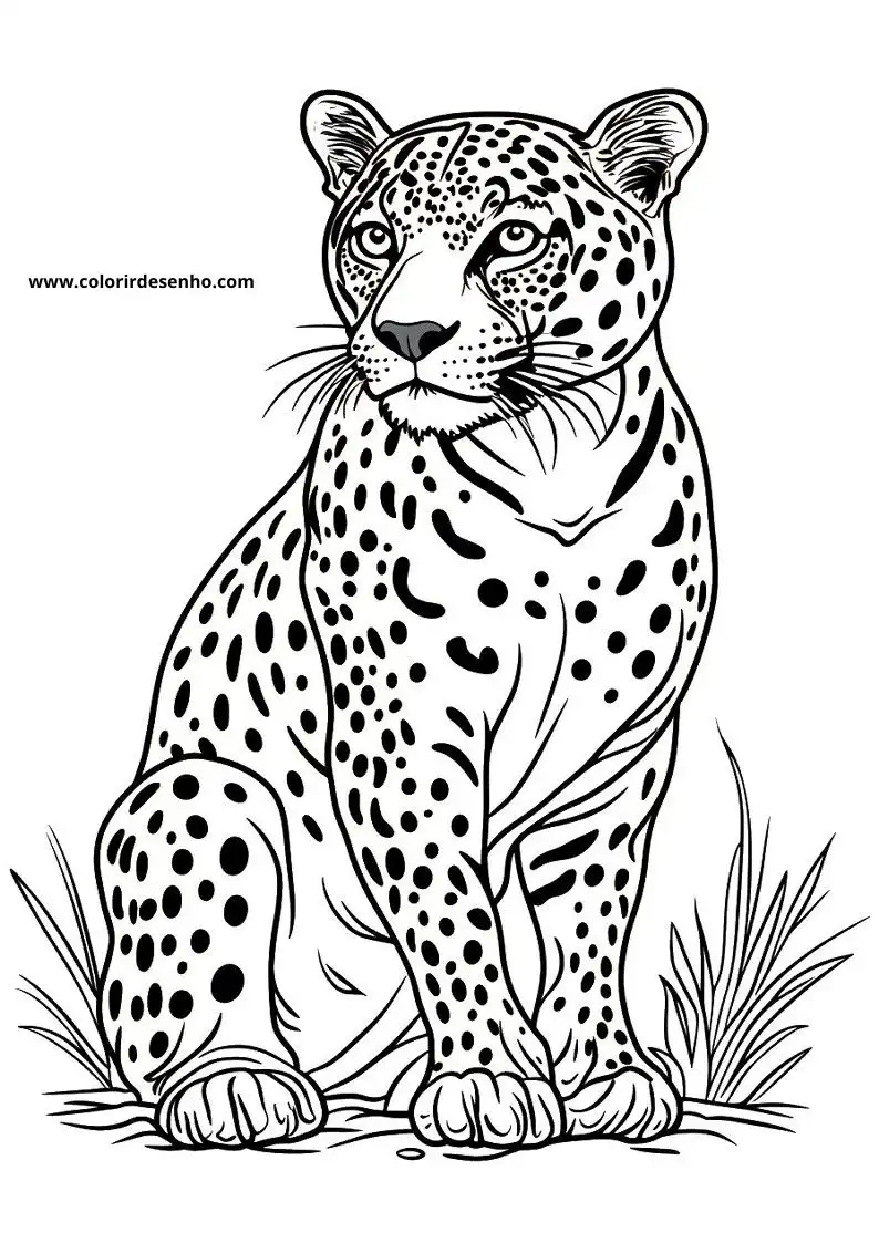 jaguar seated on a patch of grass facing left with a calm expression