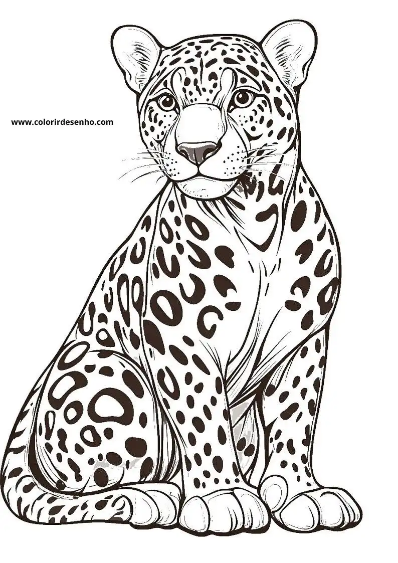 jaguar sitting alertly in a natural setting