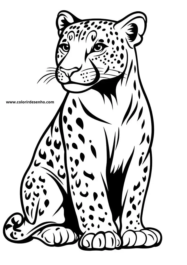 jaguar sitting alertly in grass with spotted fur gazing around