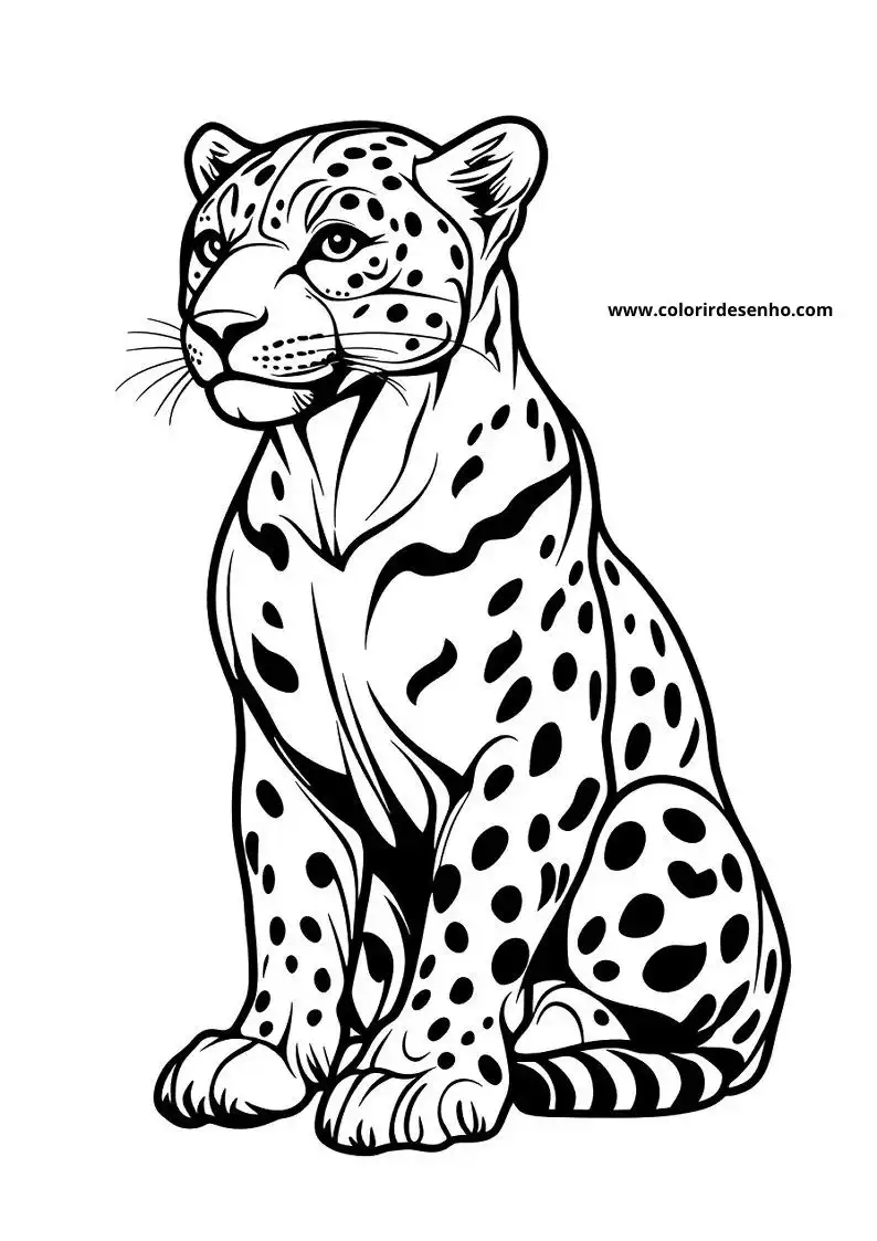 jaguar sitting alertly on a plain background