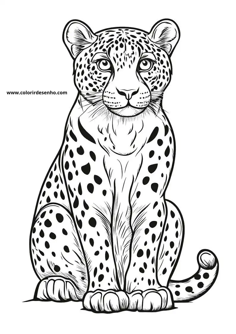 jaguar sitting alertly on ground with spotted fur and large eyes
