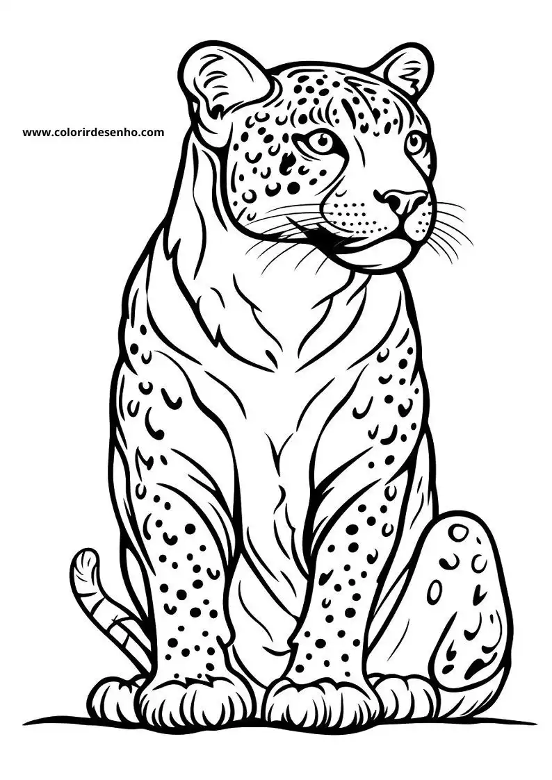 jaguar sitting alertly spotted fur detailed eyes and whiskers tail curled around body