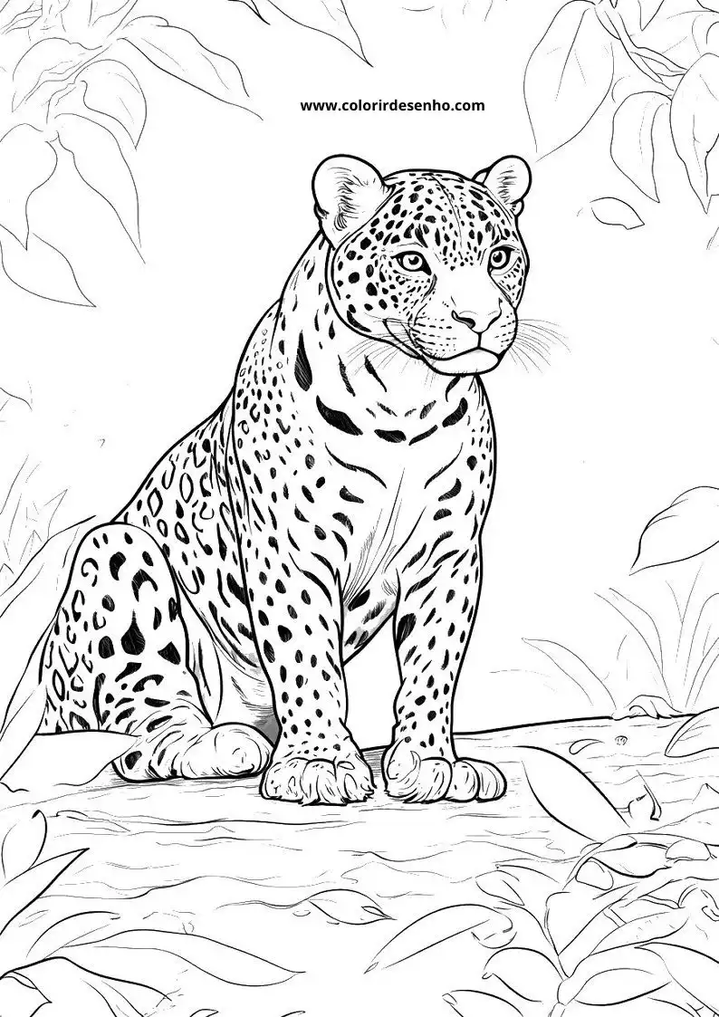 jaguar sitting alertly surrounded by leaves and branches in jungle setting
