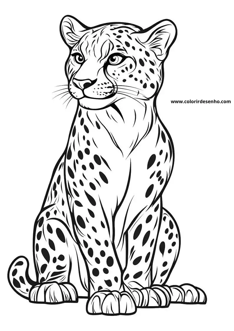 jaguar sitting alertly with spotted coat looking forward