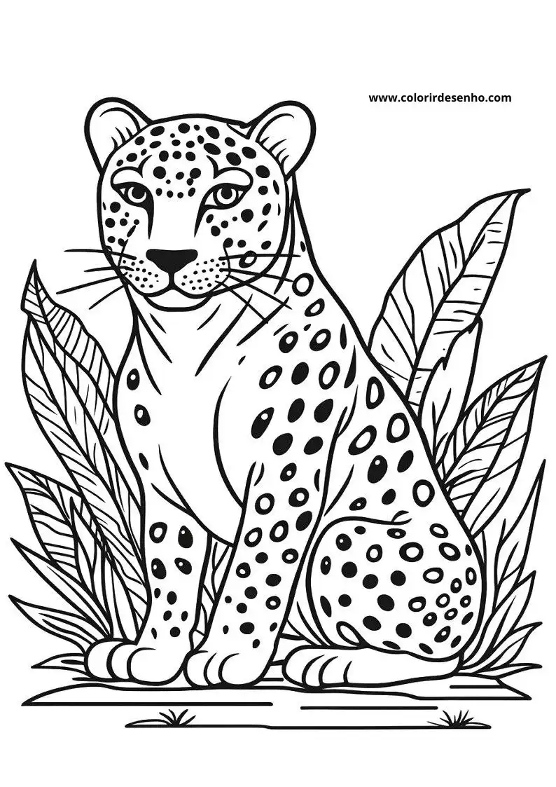 jaguar sitting among leaves in jungle setting