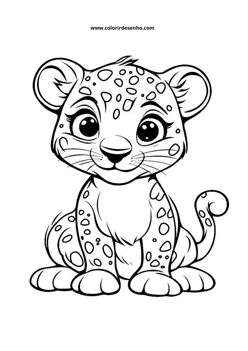 jaguar sitting and looking up