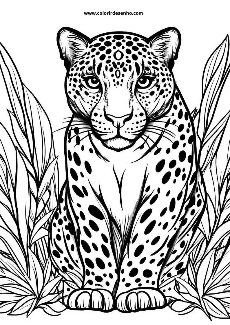 jaguar sitting in jungle foliage looking alert