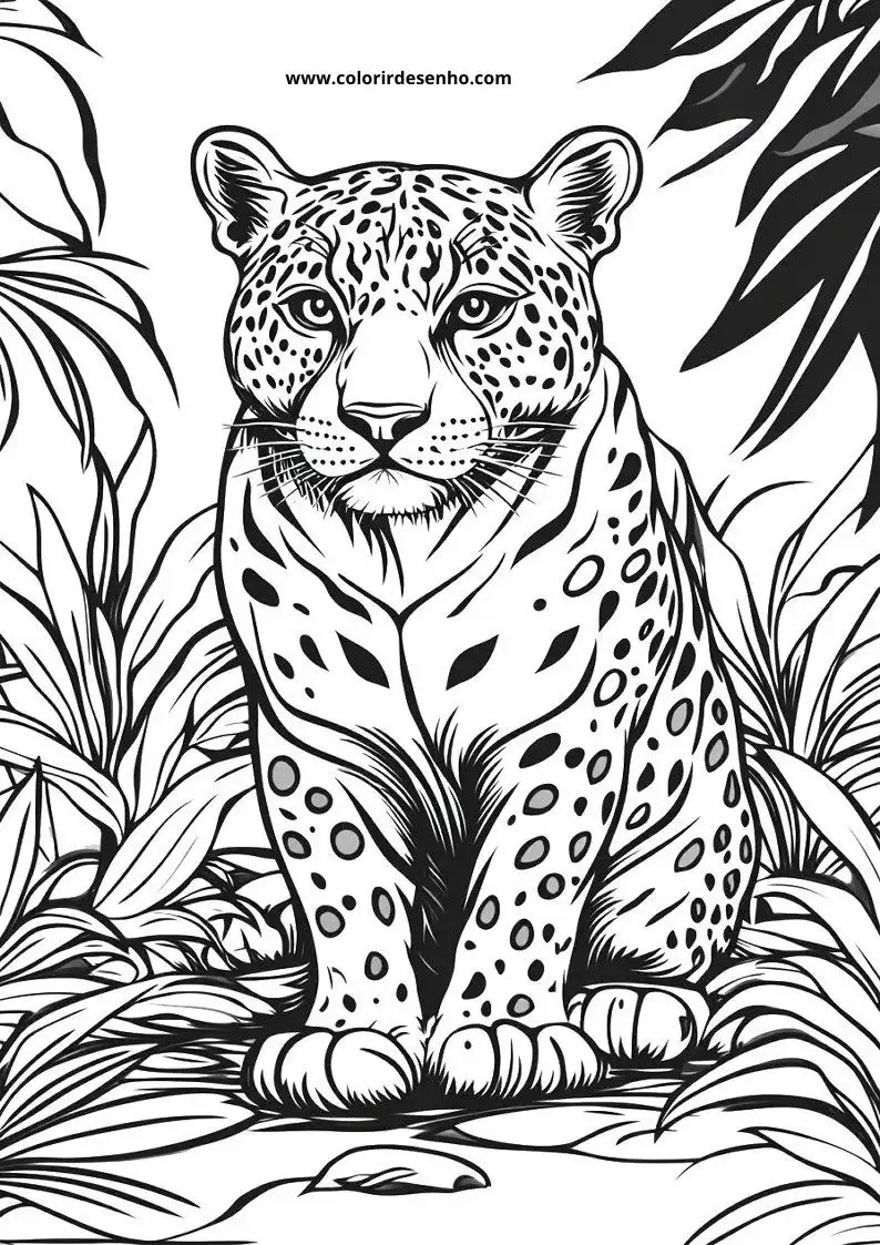 jaguar sitting in jungle foliage looking watchful