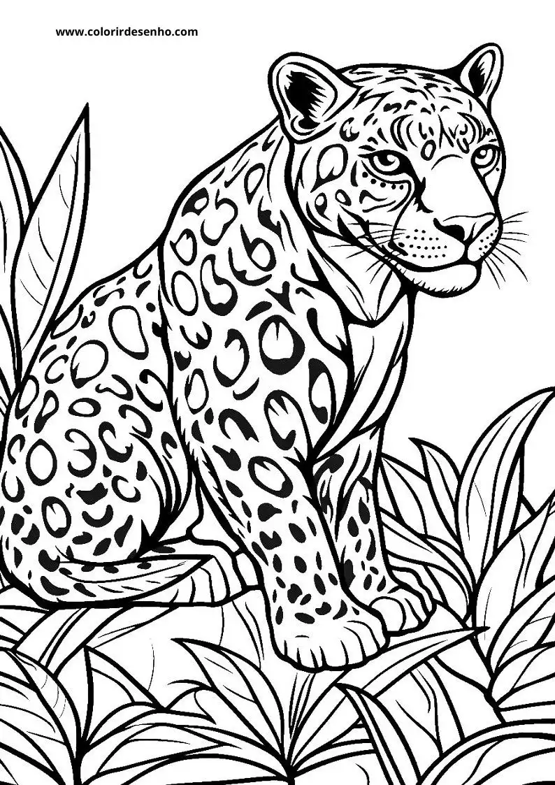 jaguar sitting on branch with jungle leaves behind it looking alert and focused