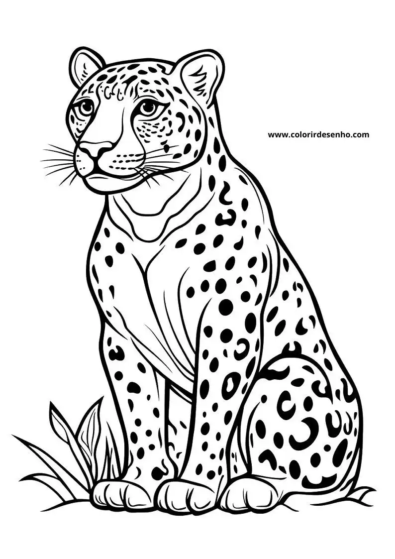 jaguar sitting on grass with spotted fur looking relaxed