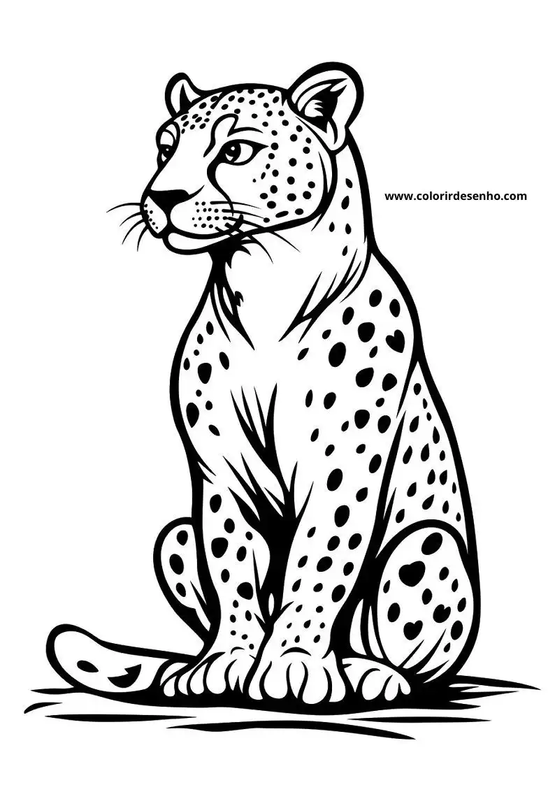 jaguar sitting on grasslineart