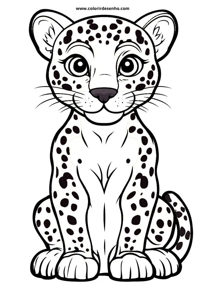 jaguar sitting on ground looking at viewer
