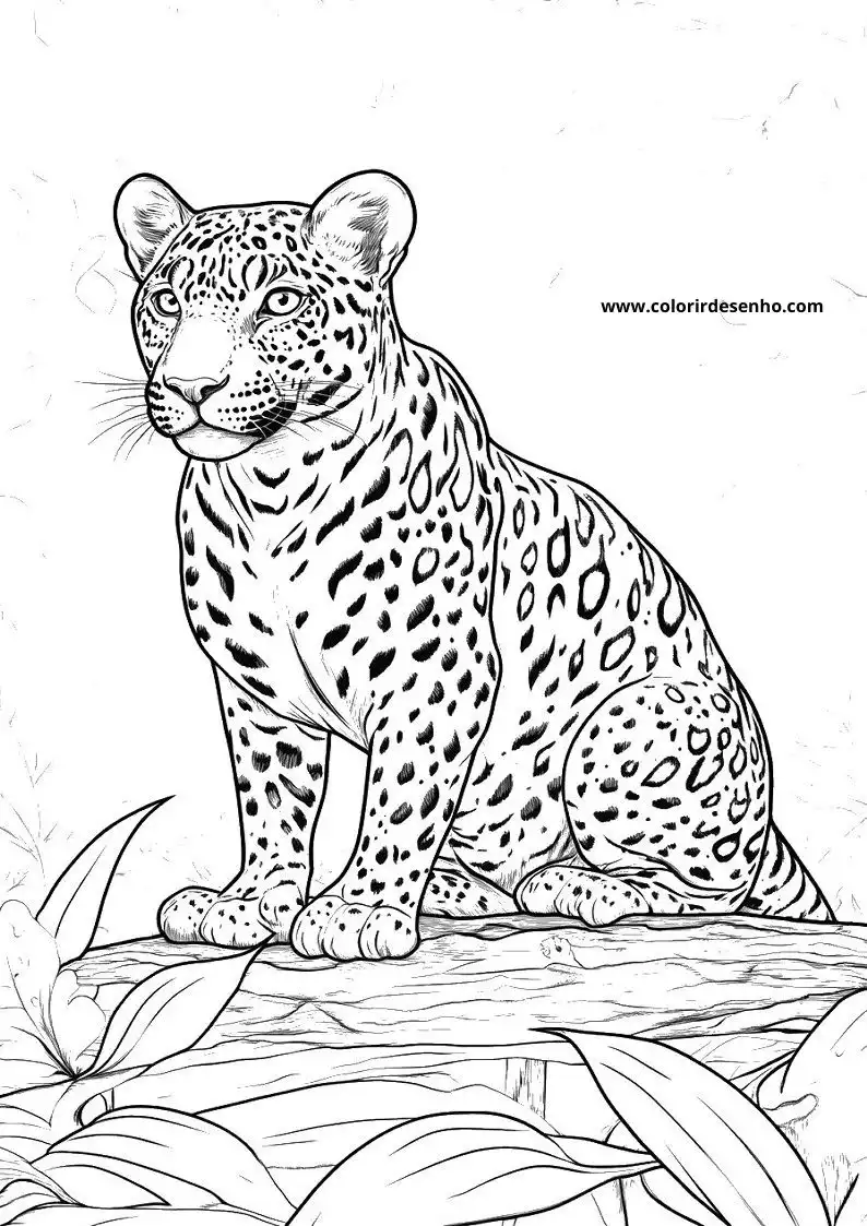 jaguar sitting on rock looking alert with spotted fur and bushy tail curled up