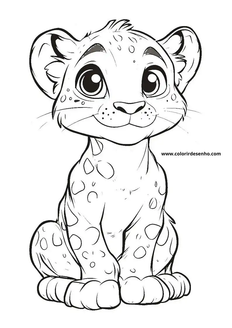 jaguar sitting on rock spotted fur big eyes small ears cute expression