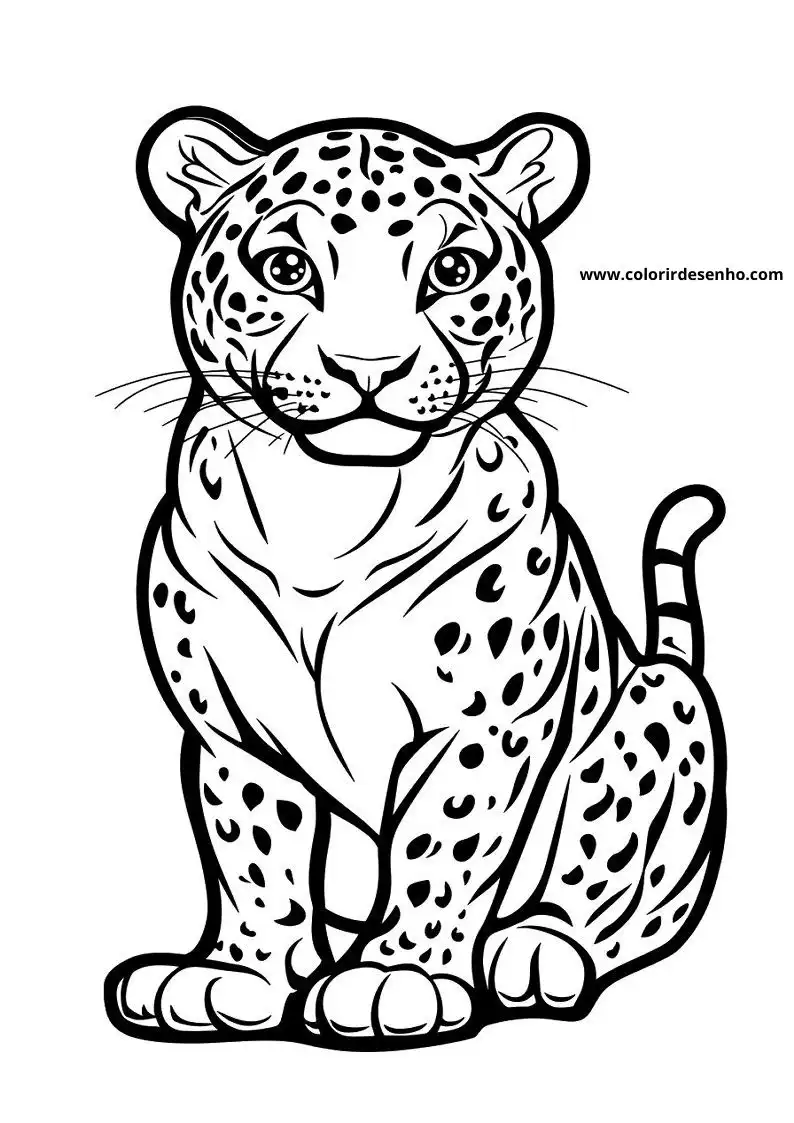 jaguar sitting upright alert expression spotted coat tail curved behind body small ears whiskers