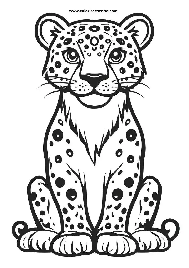 jaguar sitting upright alertly with large eyes looking forward