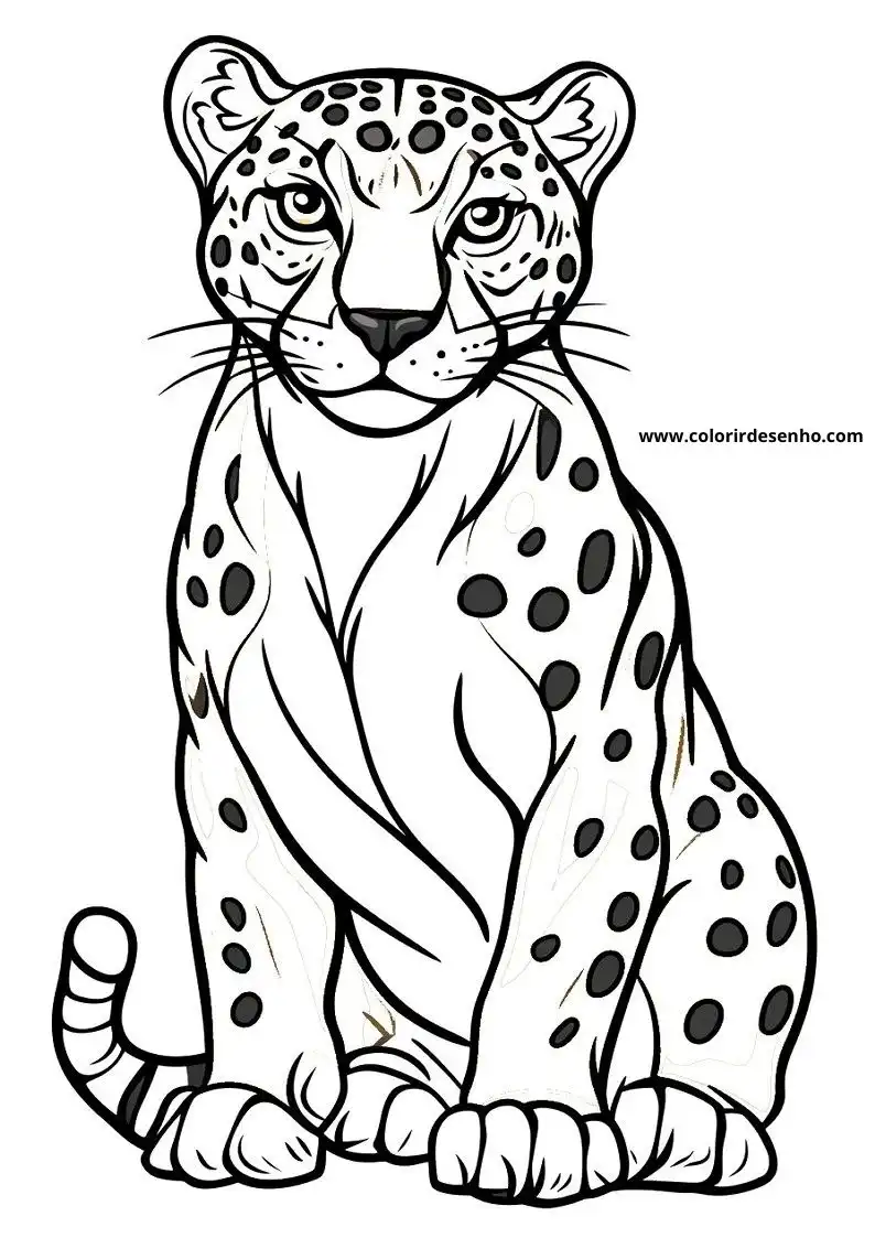 jaguar sitting upright facing forward spotted fur pattern visible