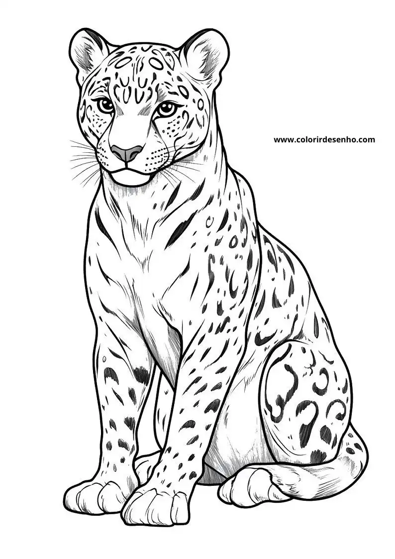 jaguar sitting upright in a forest setting