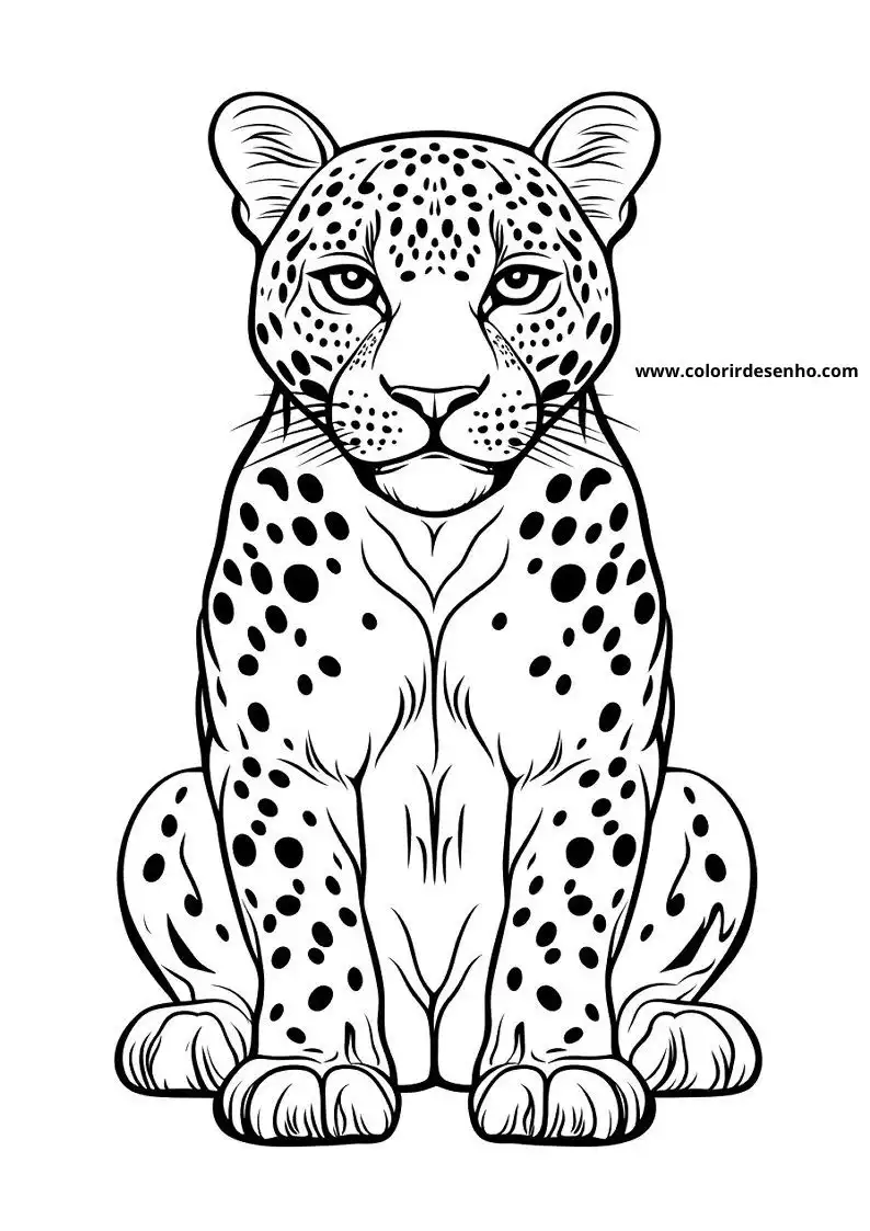 jaguar sitting upright in a poised stance against plain background
