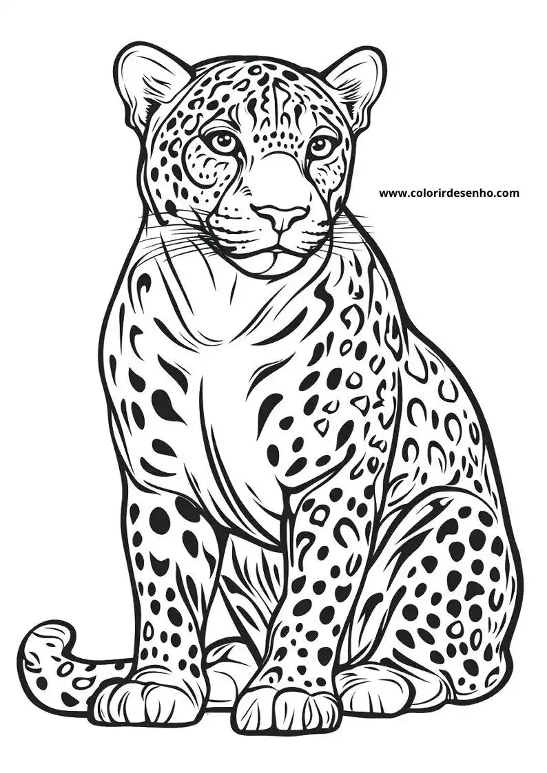 jaguar sitting upright in a poised stance facing forward