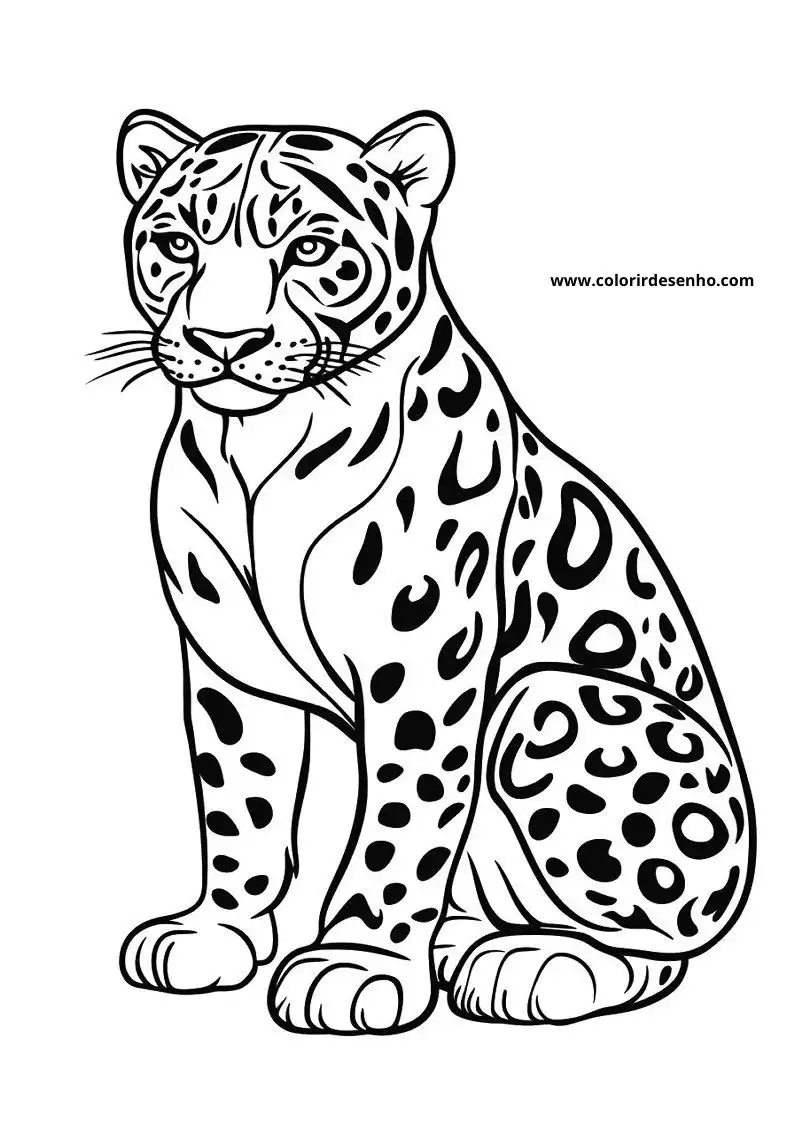 jaguar sitting upright in a poised stance showcasing its distinctive spotted coat and fierce