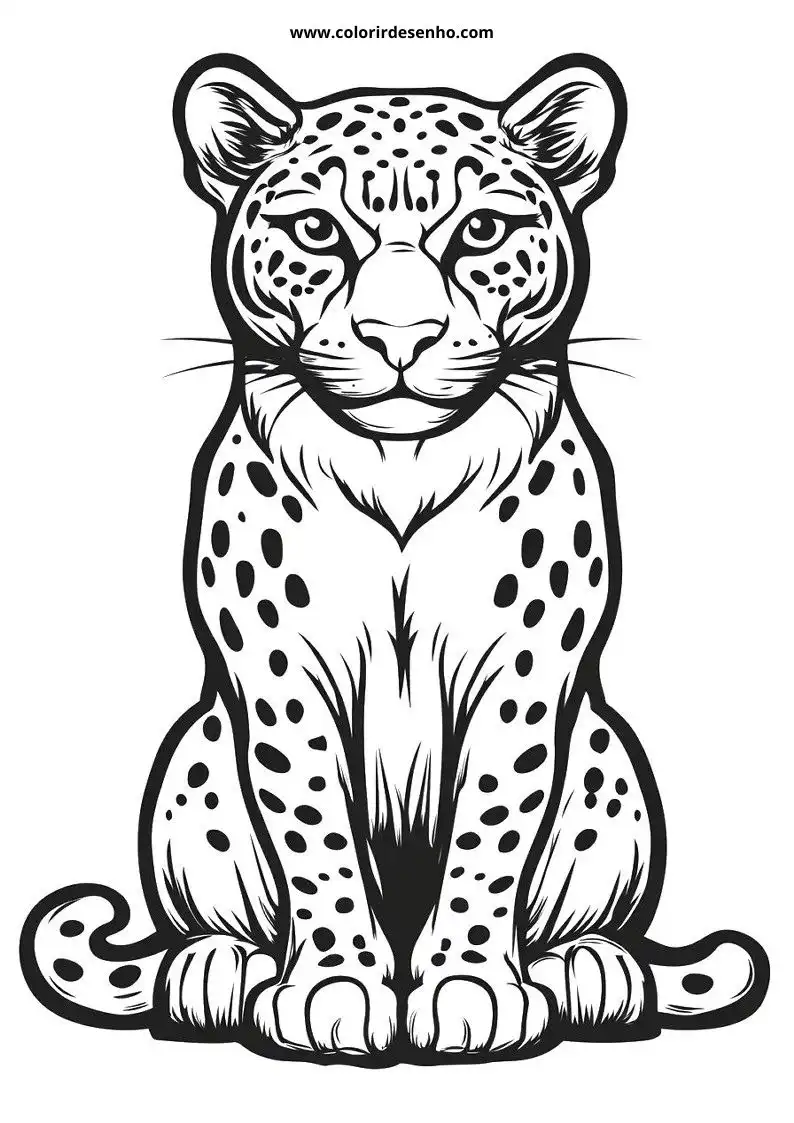 jaguar sitting upright in a relaxed pose facing forward with distinct spotted fur pattern