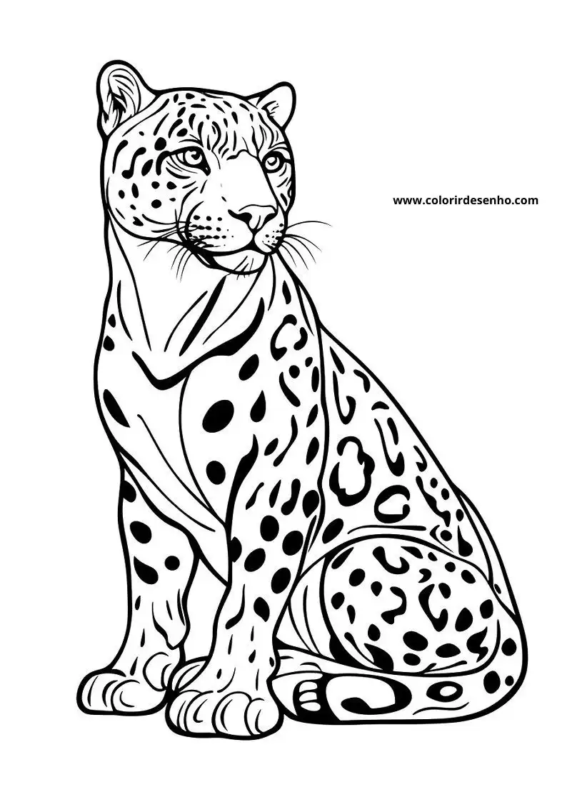 jaguar sitting upright in a relaxed pose on a plain background