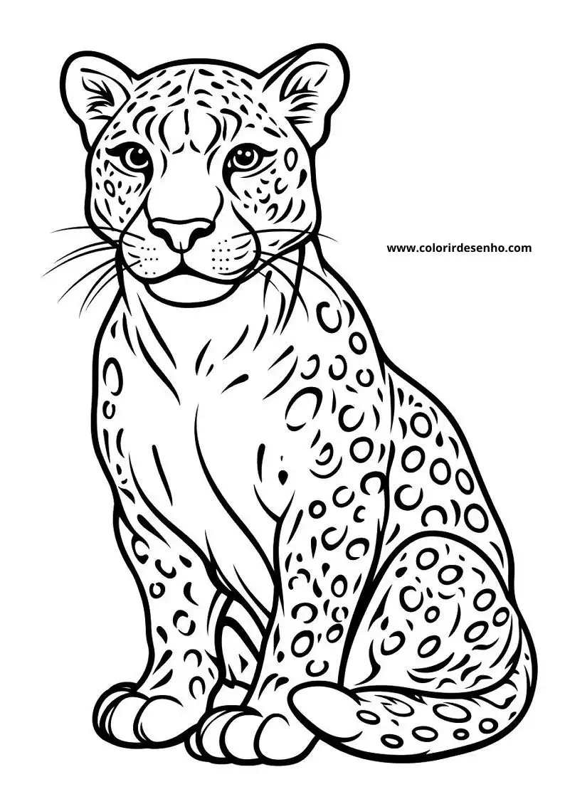 jaguar sitting upright in a relaxed pose on its hind legs