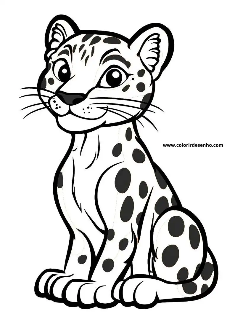 jaguar sitting upright in a relaxed pose wearing its distinctive spotted coat looking alert