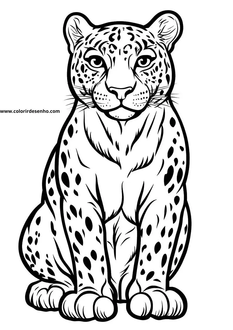 jaguar sitting upright in a relaxed pose with distinct spots on its fur