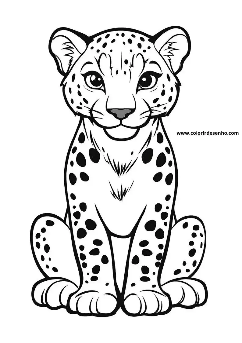 jaguar sitting upright in a relaxed pose with its front paws tucked under
