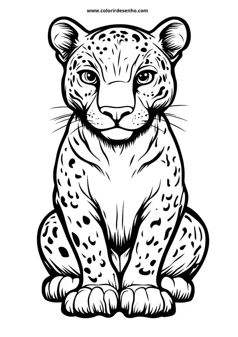 jaguar sitting upright in a relaxed pose with spotted fur and whiskers visible