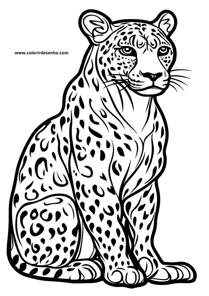 jaguar sitting upright in grassy field