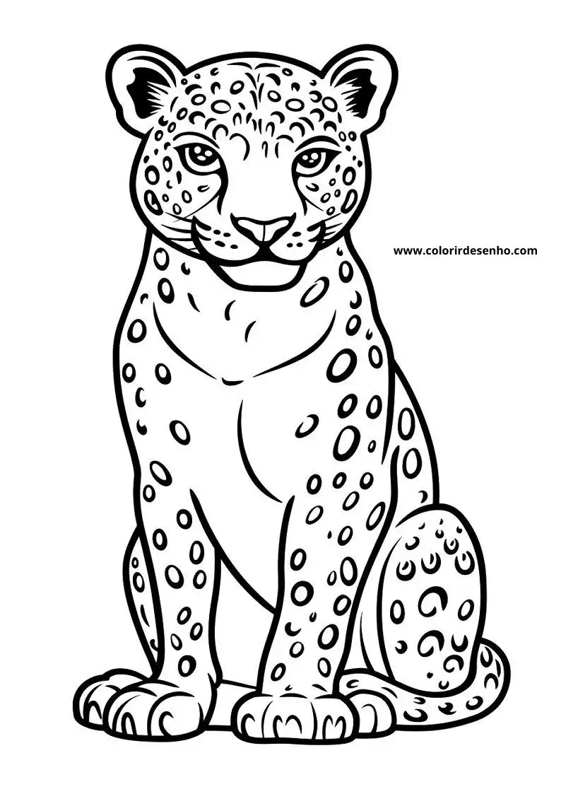 jaguar sitting upright looking playful wearing spots on body tail curled up
