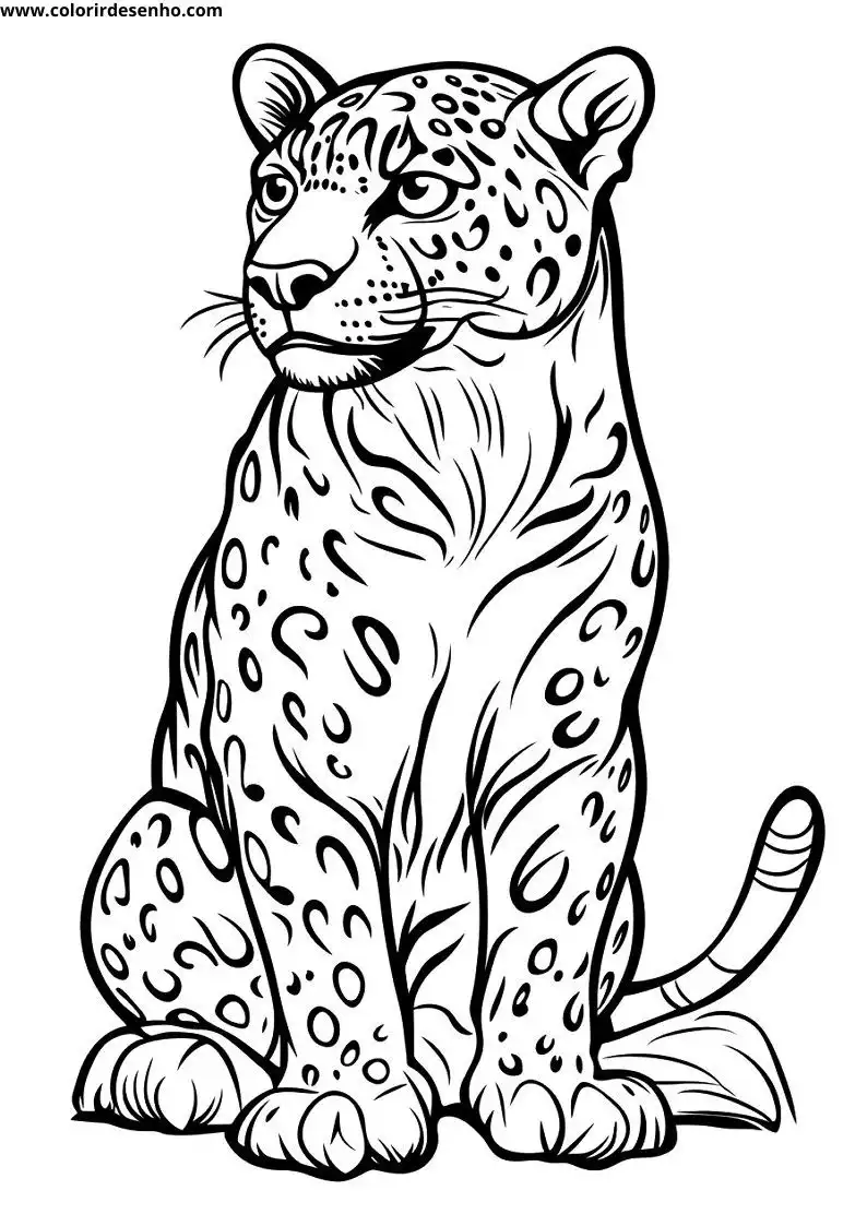 jaguar sitting upright on all fours eyes wide open tail curled behind spotted coat