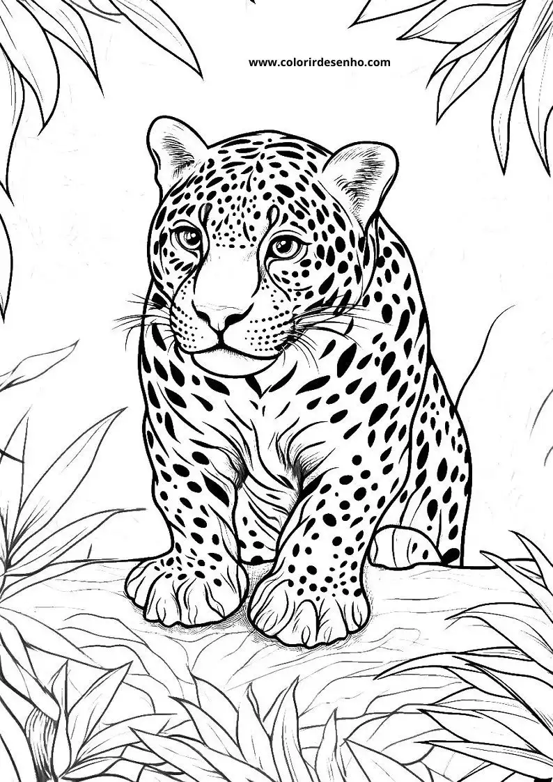 jaguar sitting upright on all fours surrounded by leaves