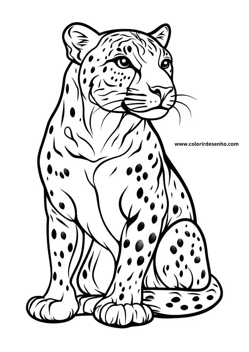 jaguar sitting upright on hind legs spotted fur eyes wide open paws extended forward