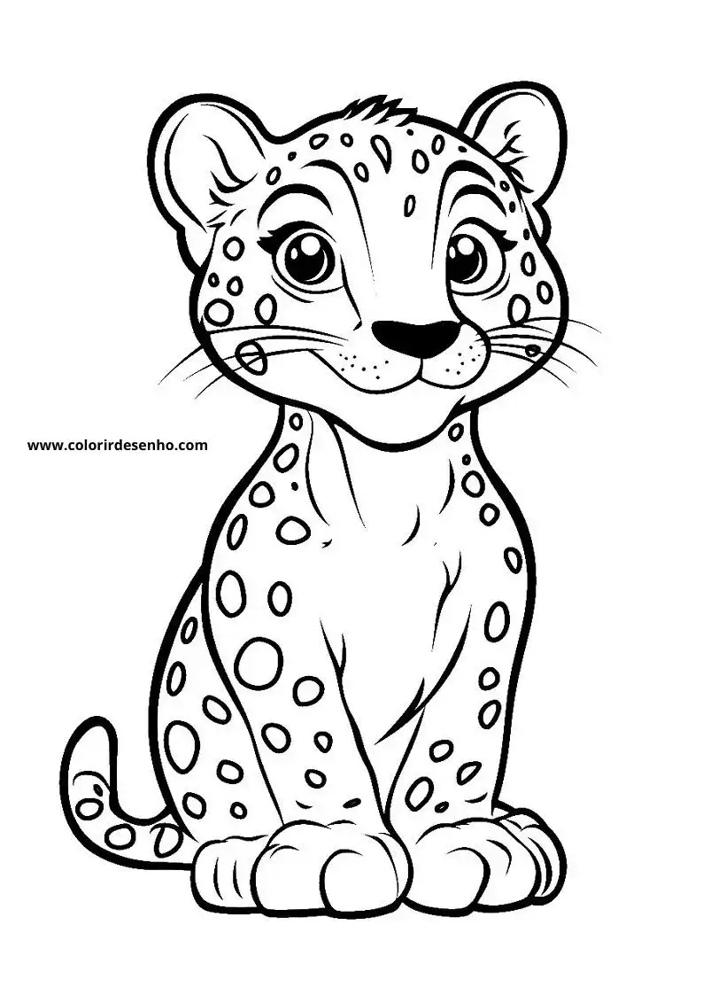jaguar sitting upright spotted fur large eyes small ears tail curled around body
