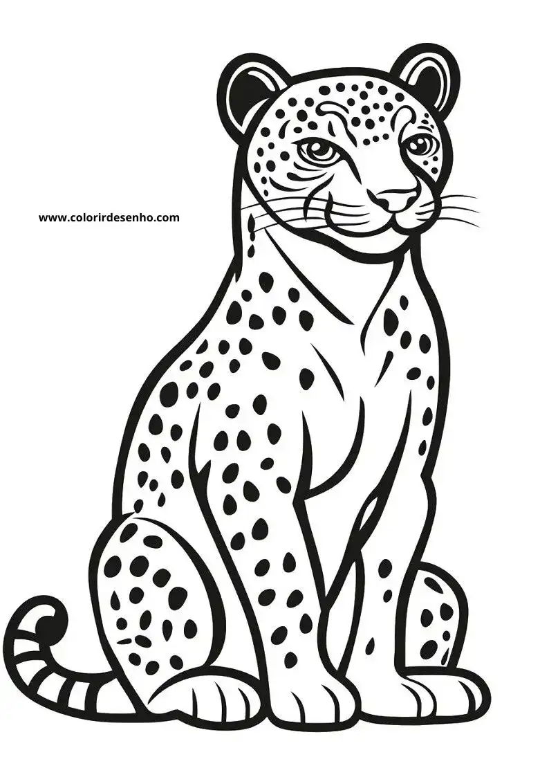 jaguar sitting upright with alert ears and spotted body