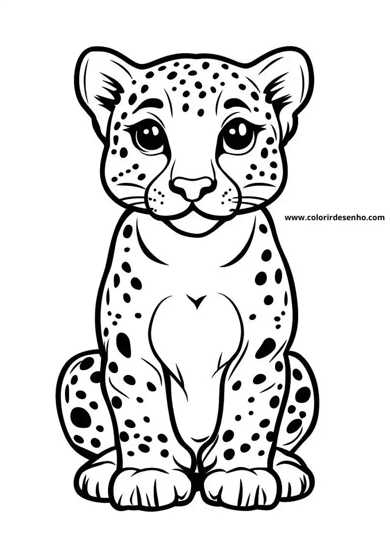 jaguar sitting upright with big eyes and spots on body tail curled up