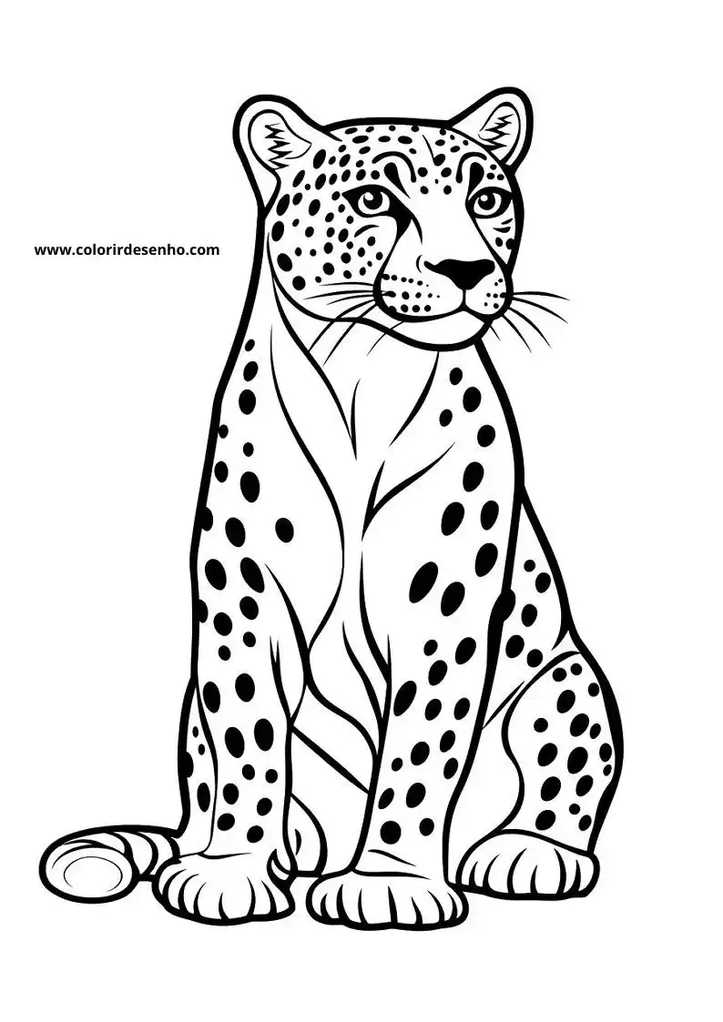 jaguar sitting upright with distinct spots on its body and tail